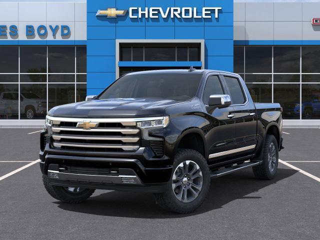 2025 Chevrolet Silverado 1500 Vehicle Photo in HENDERSON, NC 27536-2966