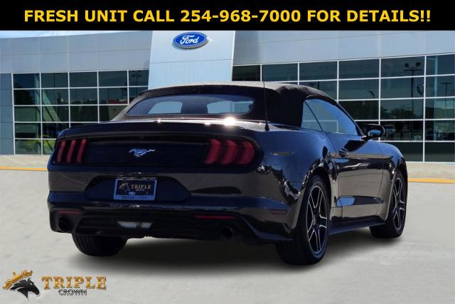 2022 Ford Mustang Vehicle Photo in STEPHENVILLE, TX 76401-3713