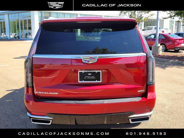 2024 Cadillac Escalade Vehicle Photo in RIDGELAND, MS 39157-4406