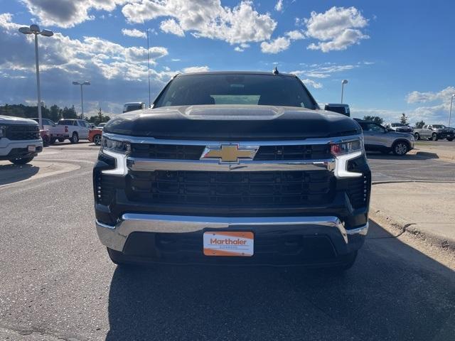 2024 Chevrolet Silverado 1500 Vehicle Photo in GLENWOOD, MN 56334-1123