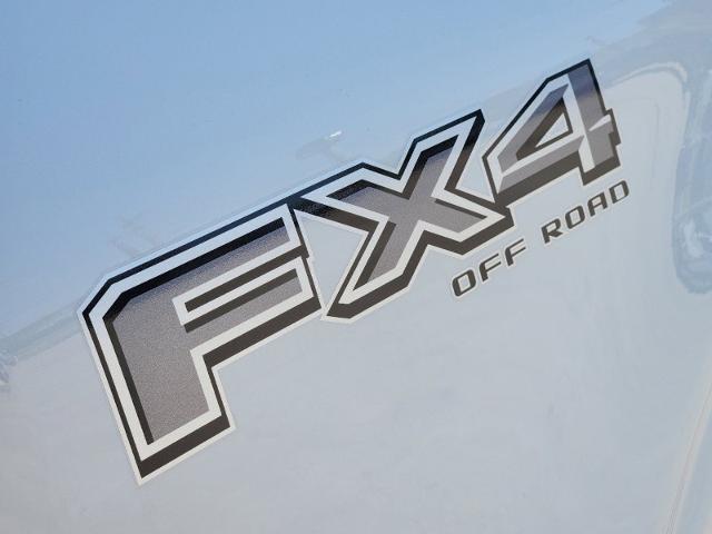 2024 Ford F-150 Vehicle Photo in Pilot Point, TX 76258