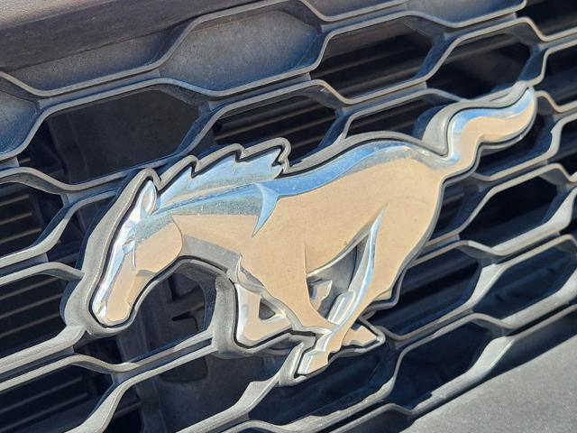 2019 Ford Mustang Vehicle Photo in Cleburne, TX 76033