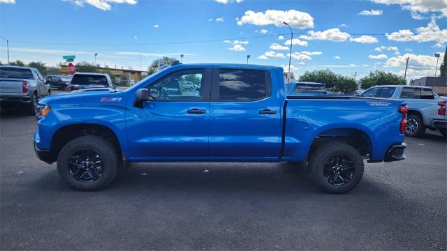 2024 Chevrolet Silverado 1500 Vehicle Photo in FLAGSTAFF, AZ 86001-6214