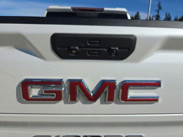 2020 GMC Sierra 1500 Vehicle Photo in EVERETT, WA 98203-5662