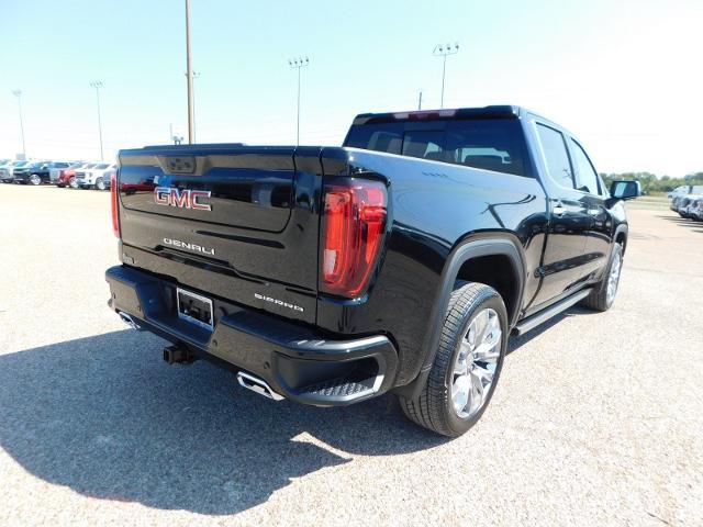 2025 GMC Sierra 1500 Vehicle Photo in Weatherford, TX 76087