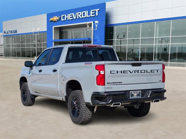 2024 Chevrolet Silverado 1500 Vehicle Photo in Weatherford, TX 76087