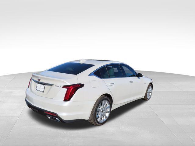 2025 Cadillac CT5 Vehicle Photo in DELRAY BEACH, FL 33483-3294