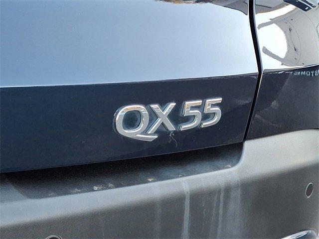 2022 INFINITI QX55 Vehicle Photo in Willow Grove, PA 19090