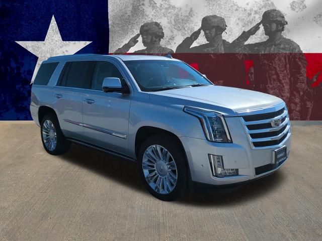 2019 Cadillac Escalade Vehicle Photo in Killeen, TX 76541