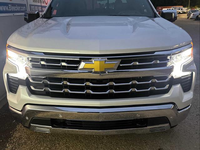 2024 Chevrolet Silverado 1500 Vehicle Photo in DUNN, NC 28334-8900