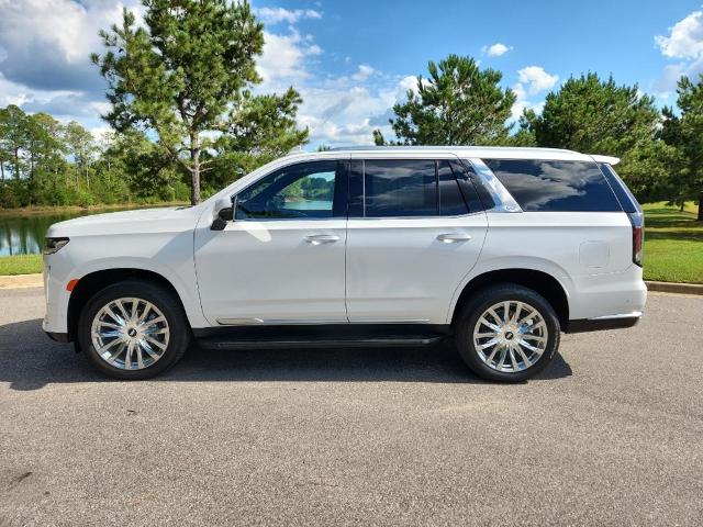 2023 Cadillac Escalade Vehicle Photo in AUBURN, AL 36830-7007