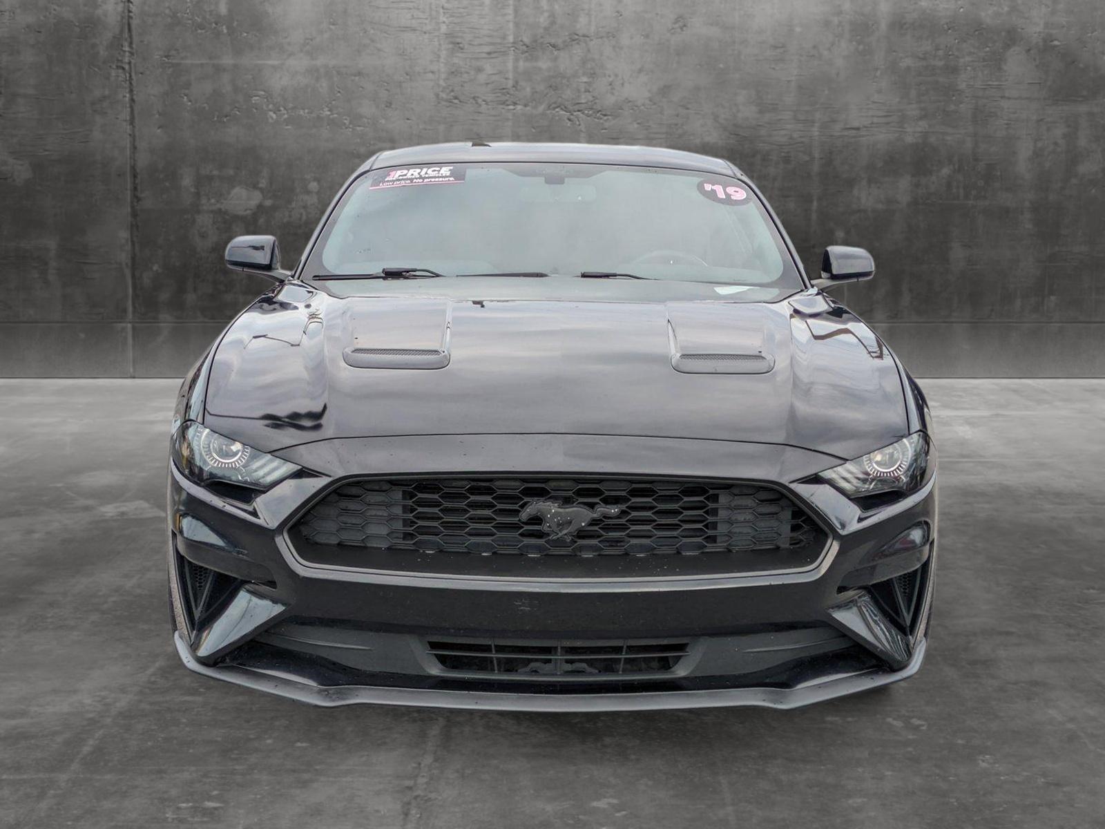 2019 Ford Mustang Vehicle Photo in Bradenton, FL 34207