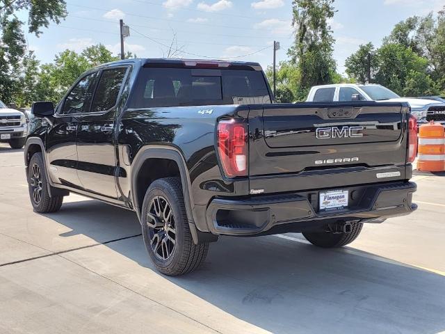 2024 GMC Sierra 1500 Vehicle Photo in ROSENBERG, TX 77471-5675