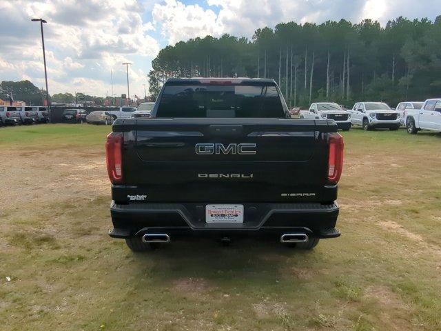 2025 GMC Sierra 1500 Vehicle Photo in ALBERTVILLE, AL 35950-0246