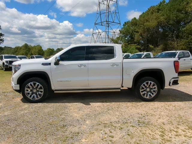 2023 GMC Sierra 1500 Vehicle Photo in ALBERTVILLE, AL 35950-0246