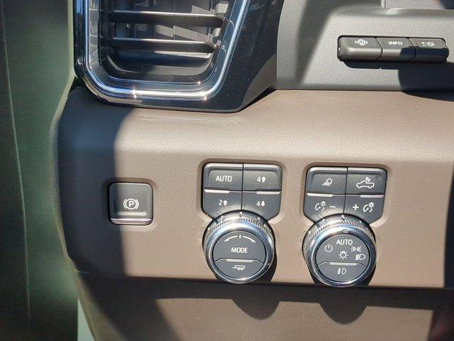 2025 GMC Sierra 1500 Vehicle Photo in ALBERTVILLE, AL 35950-0246