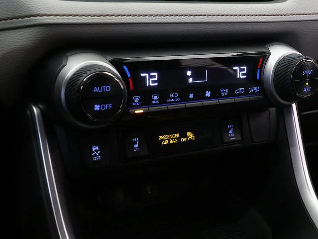 2021 Toyota RAV4 Vehicle Photo in LIBERTYVILLE, IL 60048-3287