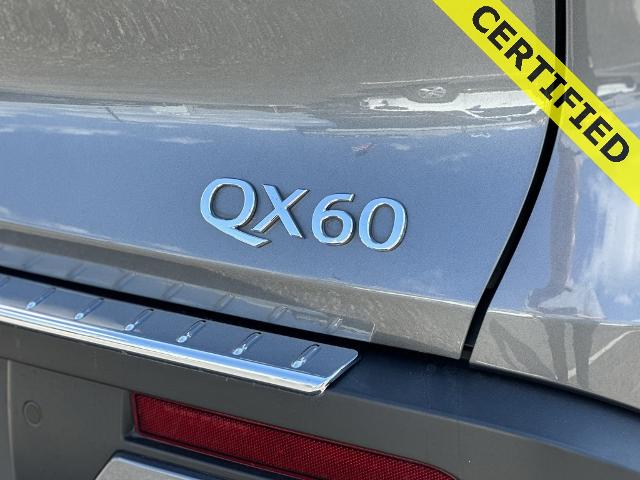 2023 INFINITI QX60 Vehicle Photo in San Antonio, TX 78230