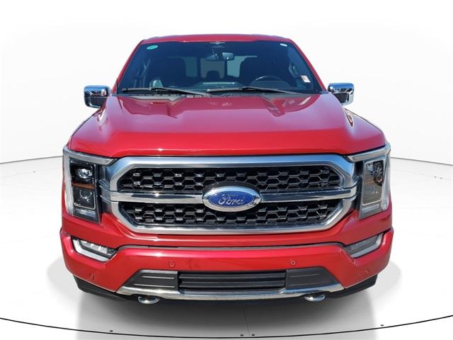 Certified 2023 Ford F-150 Platinum with VIN 1FTFW1E58PFA88404 for sale in Miami, FL