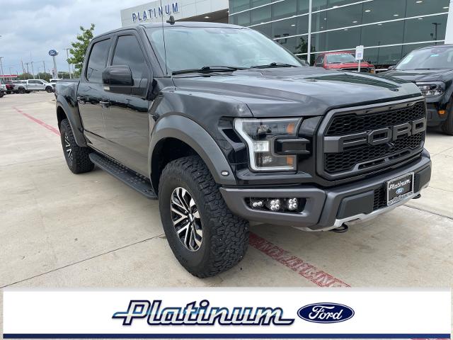 2019 Ford F-150 Vehicle Photo in Terrell, TX 75160