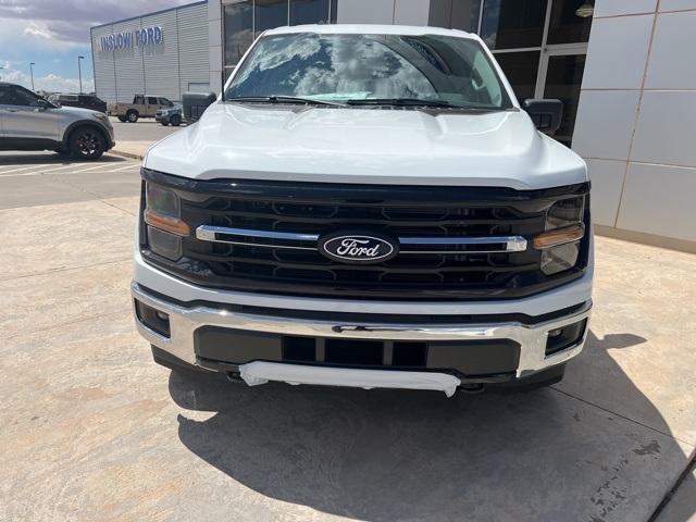 2024 Ford F-150 Vehicle Photo in Winslow, AZ 86047-2439