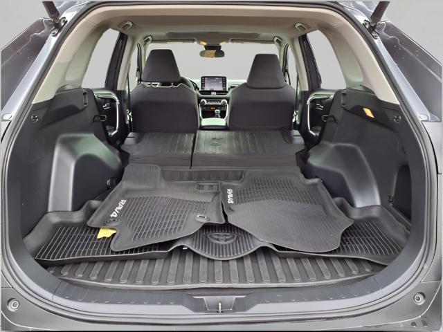 2019 Toyota RAV4 Vehicle Photo in Oshkosh, WI 54904