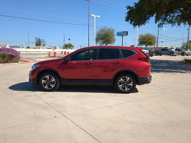 2021 Honda CR-V Vehicle Photo in SELMA, TX 78154-1459