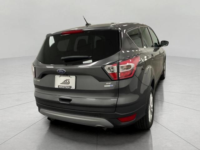 2017 Ford Escape Vehicle Photo in Appleton, WI 54913