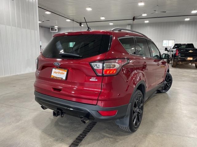 2018 Ford Escape Vehicle Photo in GLENWOOD, MN 56334-1123