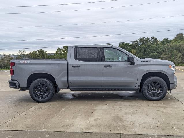 2025 Chevrolet Silverado 1500 Vehicle Photo in POMEROY, OH 45769-1023