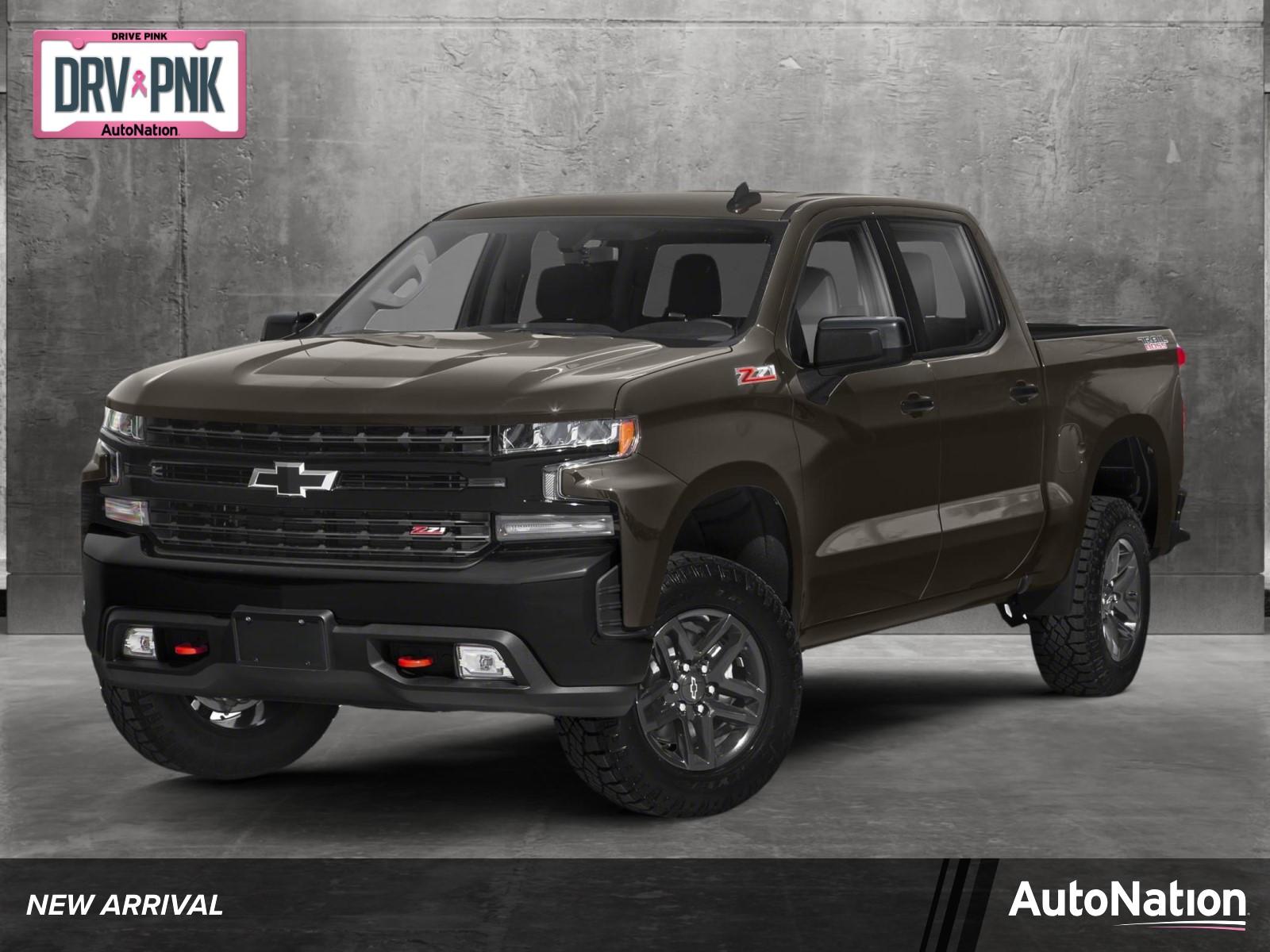 2021 Chevrolet Silverado 1500 Vehicle Photo in TIMONIUM, MD 21093-2300