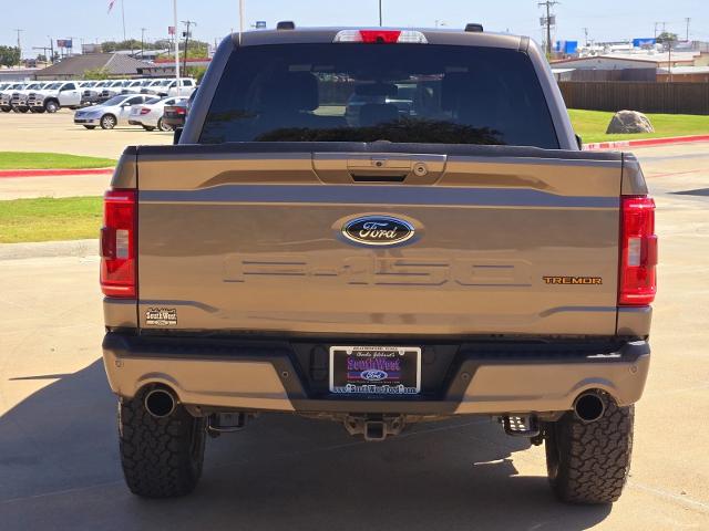 2023 Ford F-150 Vehicle Photo in Weatherford, TX 76087