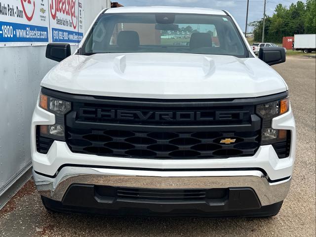 2023 Chevrolet Silverado 1500 Vehicle Photo in DUNN, NC 28334-8900