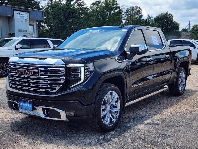 2022 GMC Sierra 1500 Vehicle Photo in PARIS, TX 75460-2116