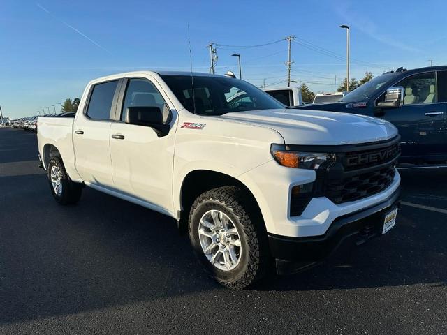 2025 Chevrolet Silverado 1500 Vehicle Photo in COLUMBIA, MO 65203-3903