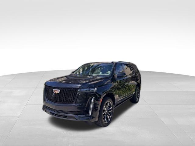 2024 Cadillac Escalade Vehicle Photo in DELRAY BEACH, FL 33483-3294