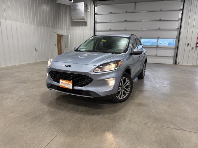 2022 Ford Escape Vehicle Photo in GLENWOOD, MN 56334-1123