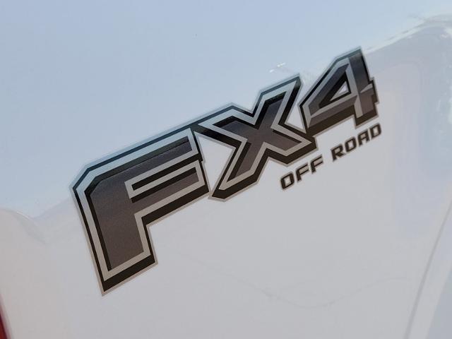 2024 Ford F-150 Vehicle Photo in Pilot Point, TX 76258-6053