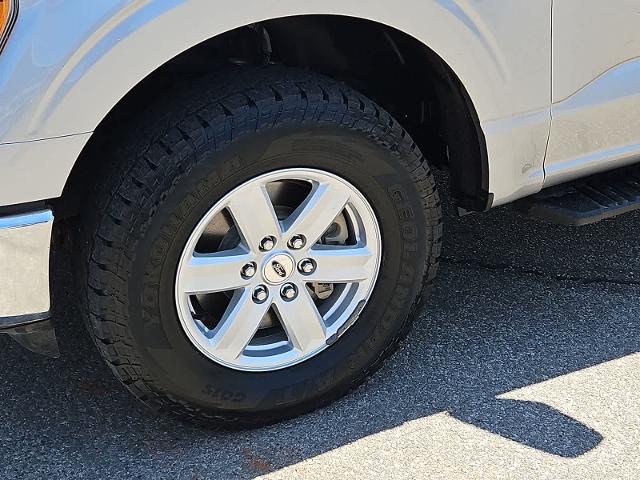 2022 Ford F-150 Vehicle Photo in San Angelo, TX 76901