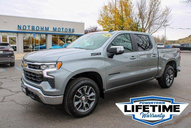 2025 Chevrolet Silverado 1500 Vehicle Photo in MILES CITY, MT 59301-5791