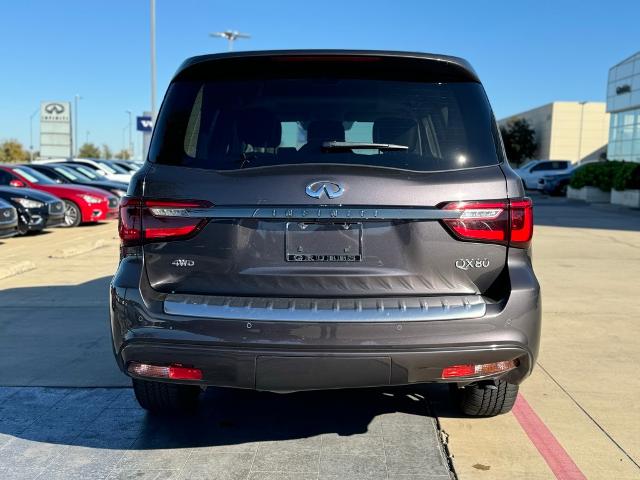 2023 INFINITI QX80 Vehicle Photo in Grapevine, TX 76051