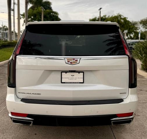 2023 Cadillac Escalade Vehicle Photo in DELRAY BEACH, FL 33483-3294