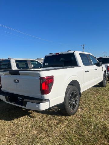 2024 Ford F-150 Vehicle Photo in STEPHENVILLE, TX 76401-3713