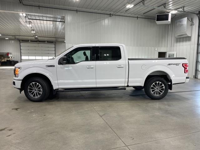 2020 Ford F-150 Vehicle Photo in GLENWOOD, MN 56334-1123