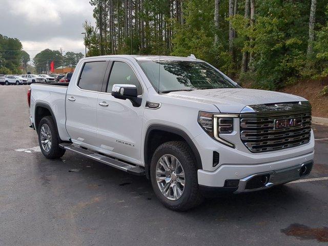 2025 GMC Sierra 1500 Vehicle Photo in ALBERTVILLE, AL 35950-0246