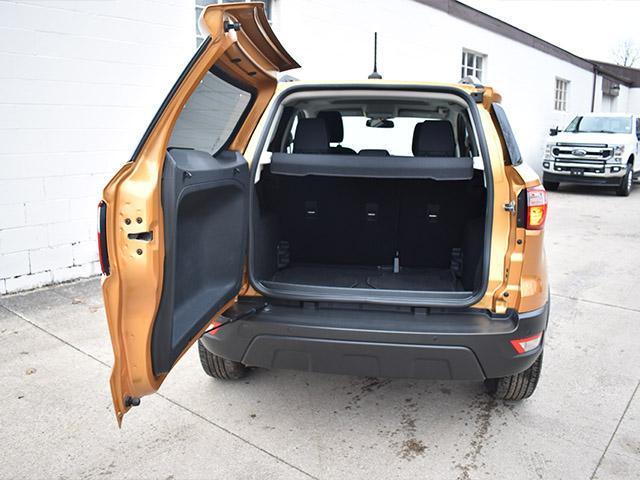 2021 Ford EcoSport Vehicle Photo in ELYRIA, OH 44035-6349