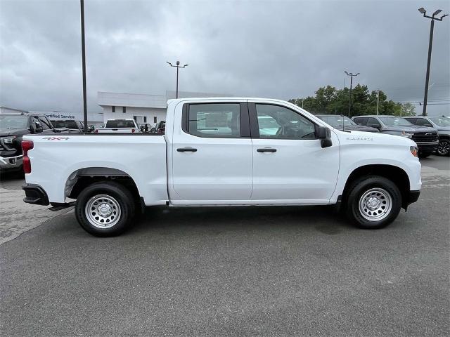 2024 Chevrolet Silverado 1500 Vehicle Photo in ALCOA, TN 37701-3235