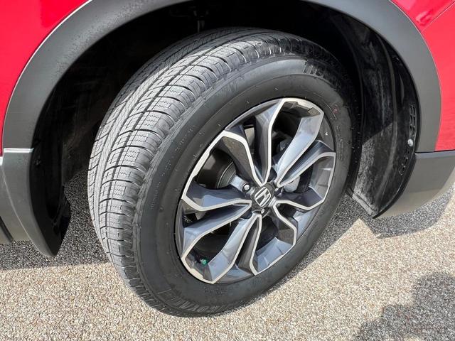 2022 Honda CR-V Vehicle Photo in EFFINGHAM, IL 62401-2832