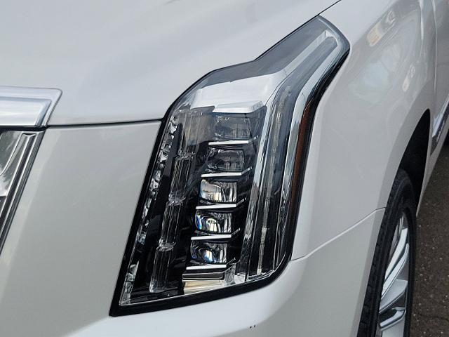 2019 Cadillac Escalade ESV Vehicle Photo in TREVOSE, PA 19053-4984