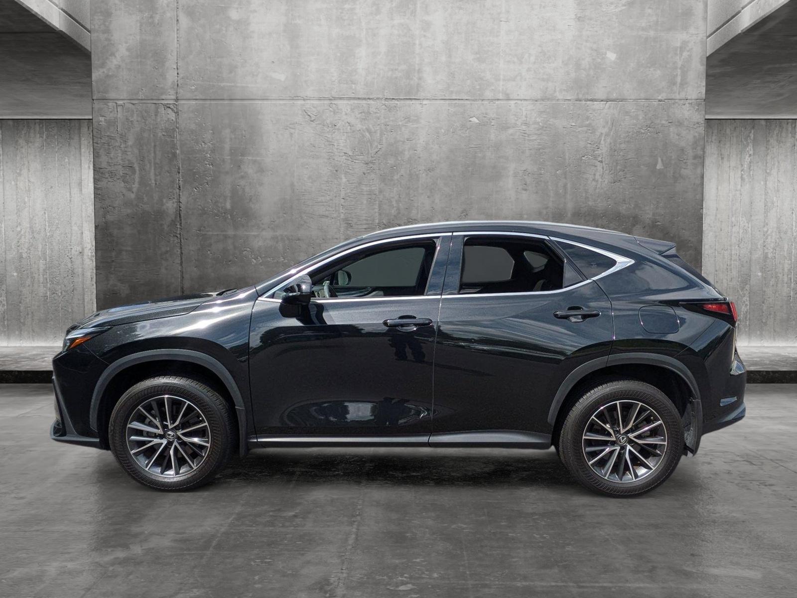 2022 Lexus NX 250 Vehicle Photo in Clearwater, FL 33761